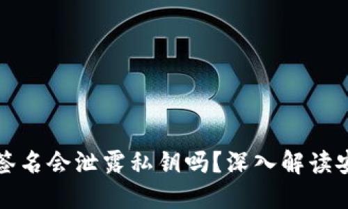 区块链钱包签名会泄露私钥吗？深入解读安全性与风险