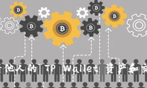 如何查看他人的 TP Wallet 资产和交易记录？