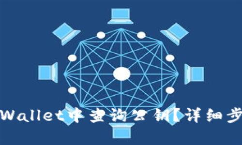如何在tpWallet中查询公钥？详细步骤及技巧