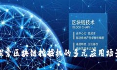 探索区块链挖掘机的多元
