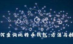 如何查询比特币钱包：方