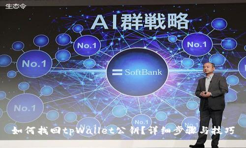 如何找回tpWallet公钥？详细步骤与技巧