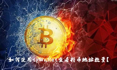 如何使用tpWallet查看持币地址数量？