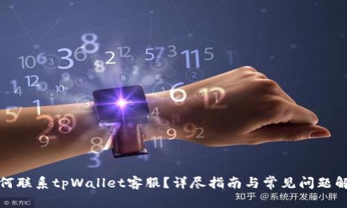 如何联系tpWallet客服？详尽指南与常见问题解答
