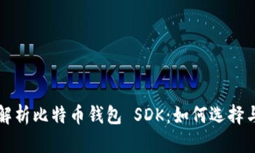 全面解析比特币钱包 SDK：如何选择与使用