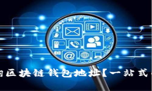 如何高效查询区块链钱包地址？一站式解决方案解析