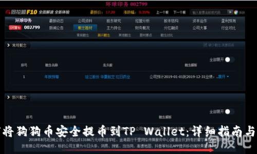 如何将狗狗币安全提币到TP Wallet：详细指南与技巧