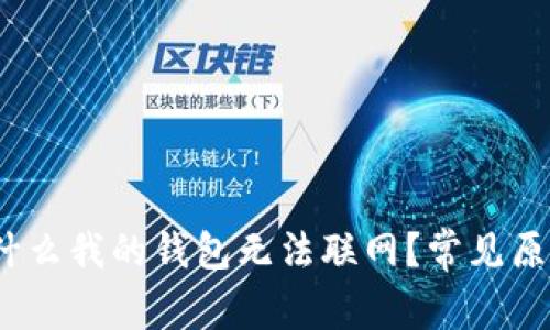 深入解析：为什么我的钱包无法联网？常见原因及解决方案