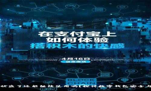 tpWallet被盗了还能继续使用吗？探讨数字钱包安全与使用策略