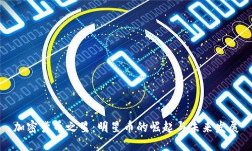 加密货币之星：明星币的崛起与未来发展