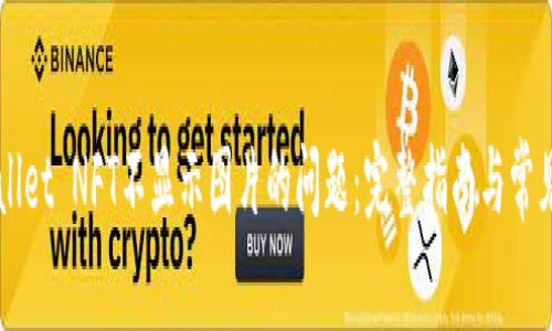 解决tpWallet NFT不显示图片的问题：完整指南与常见原因分析