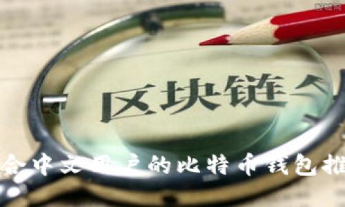 适合中文用户的比特币钱包推荐