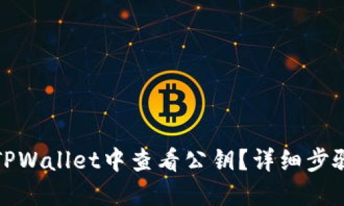 如何在TPWallet中查看公钥？详细步骤与解答