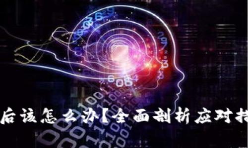 tpWallet被盗后该怎么办？全面剖析应对措施与预防策略