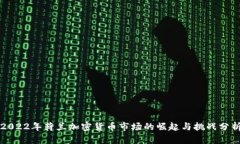 2022年荷兰加密货币市场的