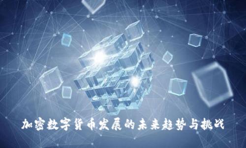 加密数字货币发展的未来趋势与挑战