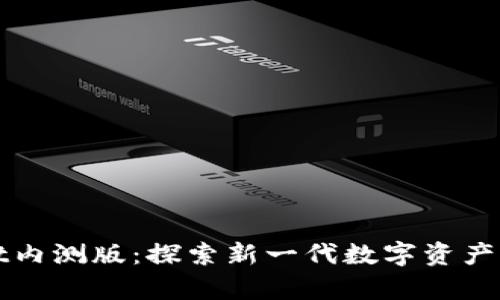 tpWallet内测版：探索新一代数字资产管理方式