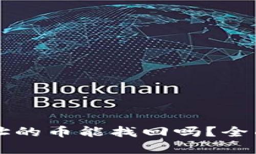 tpWallet转错地址的币能找回吗？全面解析与解决方案