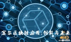 探索布鲁塞尔区块链应用：创新与未来的交汇点