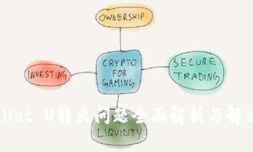 TPWallet U转出问题全面解析与解决方案