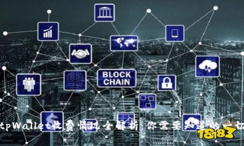 tpWallet收费情况全解析：你需要知道的一切