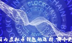 解析国内虚拟币钱包的选