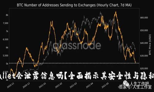 tpWallet会泄露信息吗？全面揭示其安全性与隐私保护