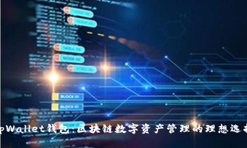 tpWallet钱包:区块链数字资产管理的理想选择