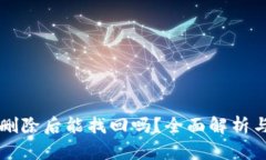 tpWallet删除后能找回吗?全面解析与解决方案