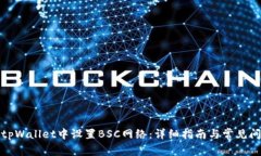 如何在tpWallet中设置BSC网络:详细指南与常见问题