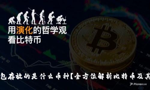 比特币钱包存放的是什么币种？全方位解析比特币及其钱包类型