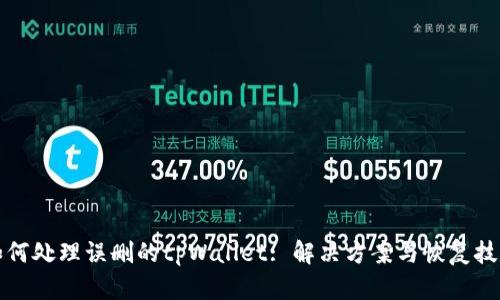 如何处理误删的tpWallet: 解决方案与恢复技巧