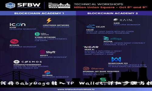 如何将BabyDoge转入TP Wallet：详细步骤与技巧