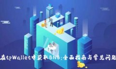 如何在tpWallet中获取BNB：全