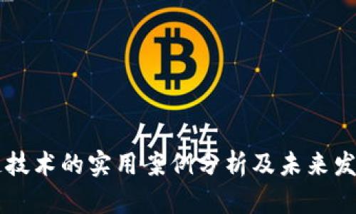 区块链技术的实用案例分析及未来发展展望