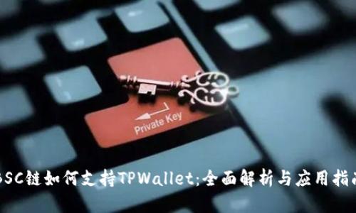 BSC链如何支持TPWallet：全面解析与应用指南