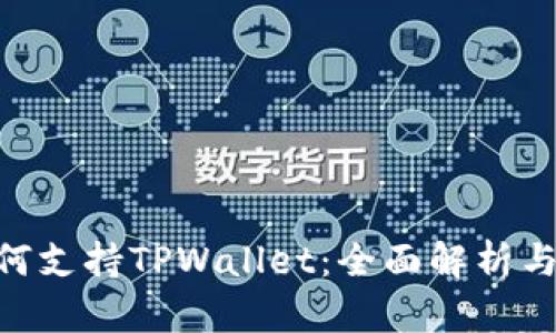 BSC链如何支持TPWallet：全面解析与应用指南