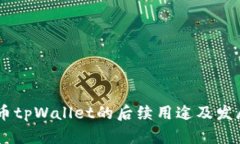 Core币tpWallet的后续用途及