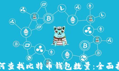 
如何查找比特币钱包数量：全面指南