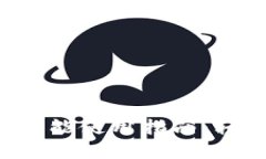 TPWallet官网Swap功能使用指南：轻松进行数字资产