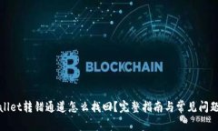 tpWallet转错通道怎么找回？完整指南与常见问题详