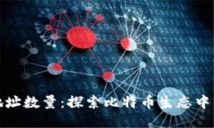 比特币钱包地址数量：探