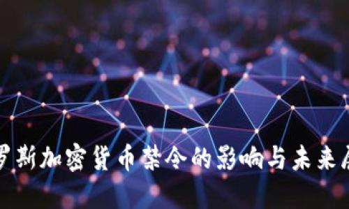 俄罗斯加密货币禁令的影响与未来展望