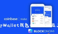 全面解析tpWallet钱包收款地址及其使用技巧