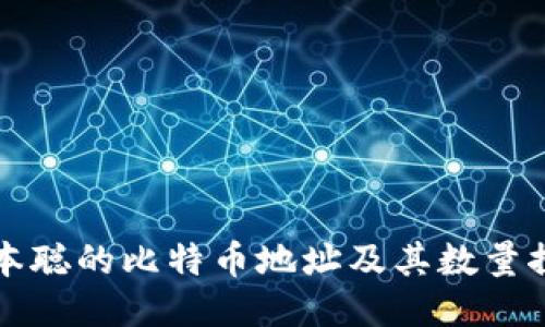 中本聪的比特币地址及其数量探秘